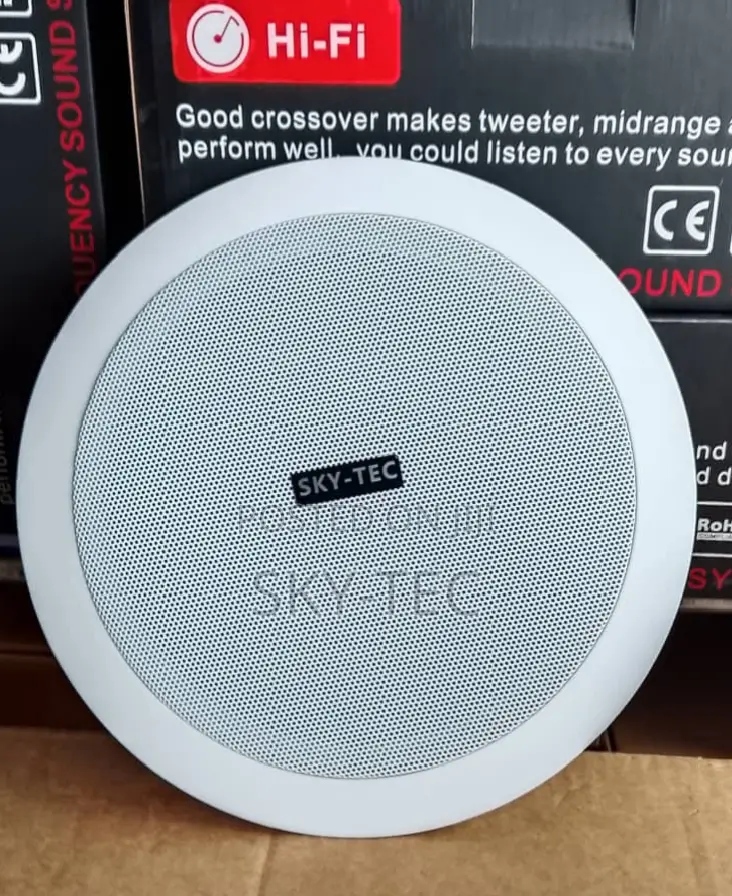 Sky-Tec 30watts Passive 6.5inches Big Magnet Ceiling Speaker