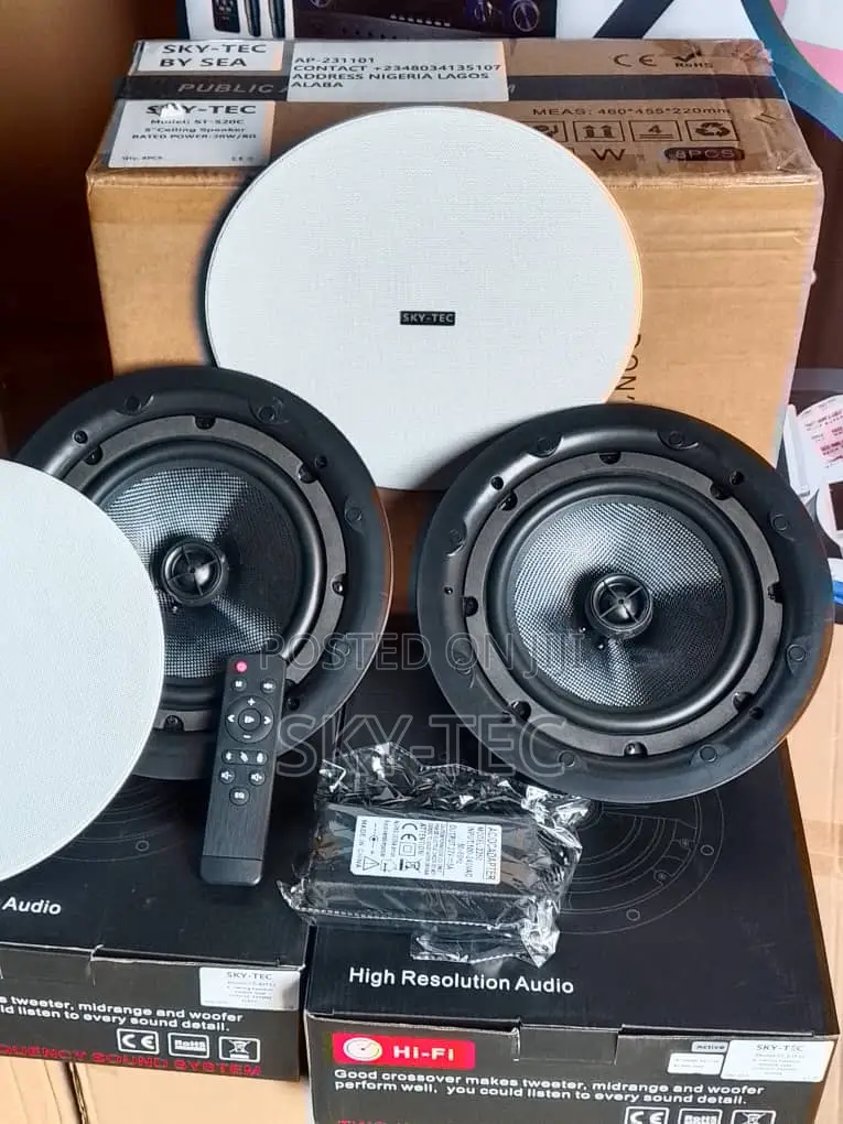 Sky-Tec 100w 1active 1passive Bluetooth Big Magnet Ceiling Speaker