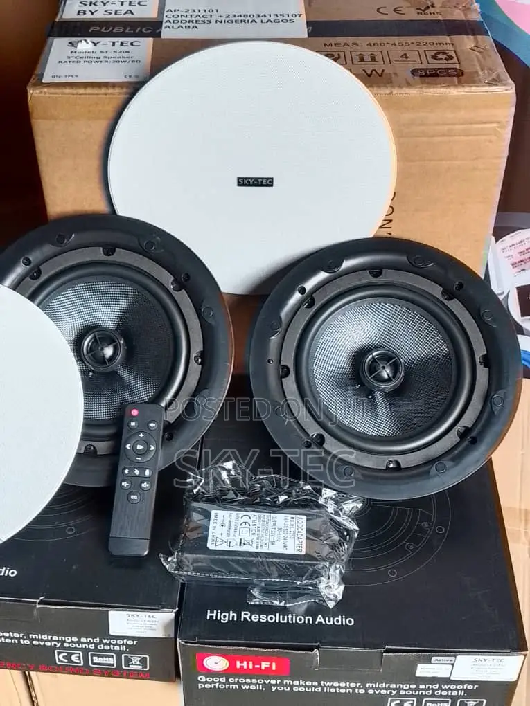 Sky-Tec 100w 1active 1passive Bluetooth Big Magnet Ceiling Speaker