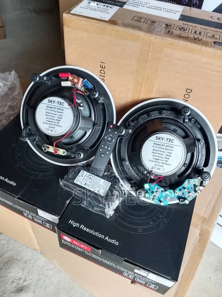 Sky-Tec 100w 1active 1passive Bluetooth Big Magnet Ceiling Speaker