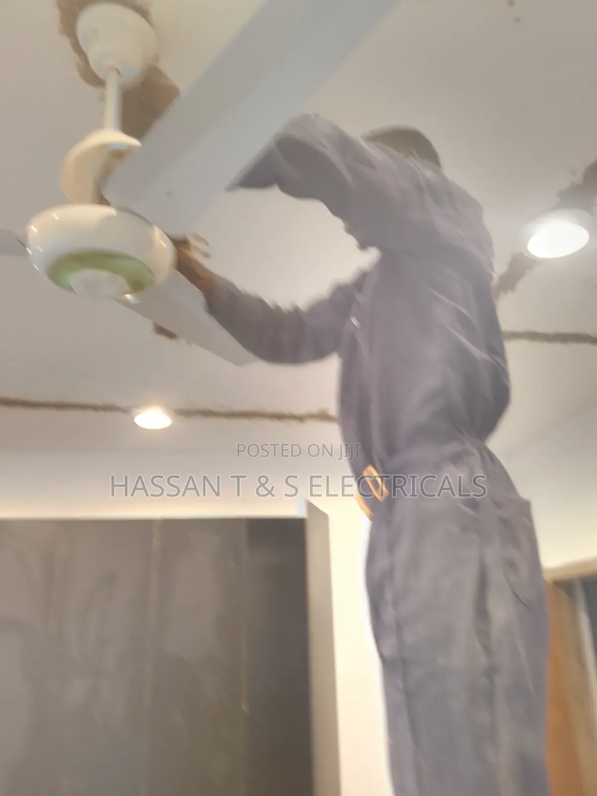 Professional Electrician