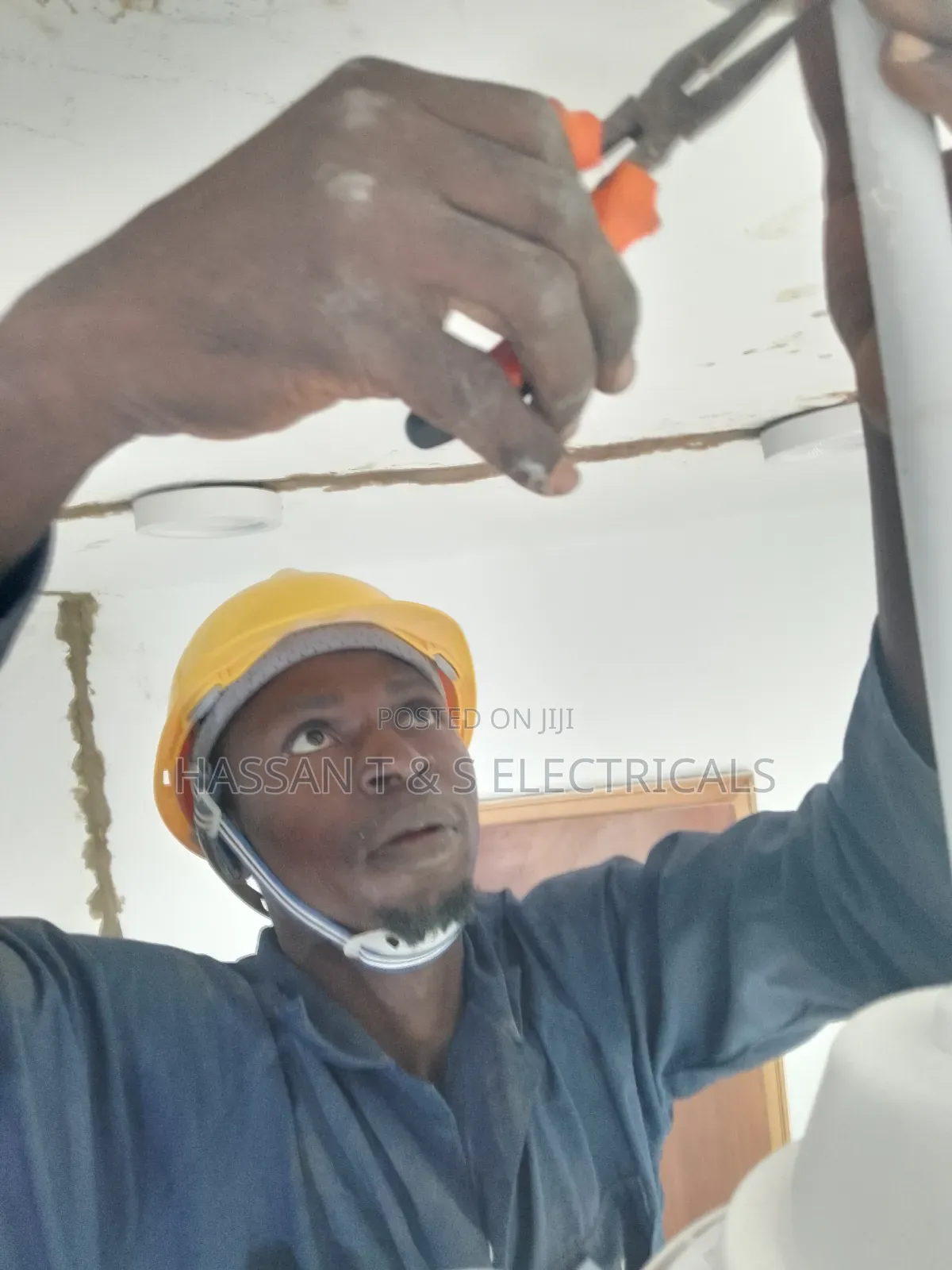 Professional Electrician