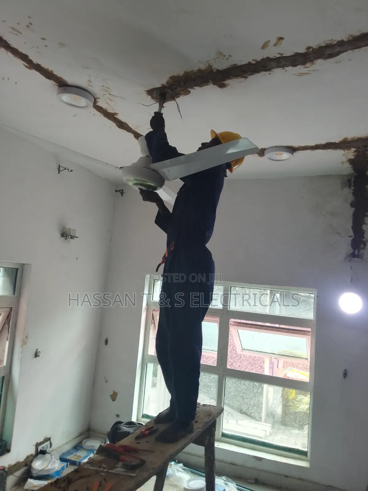 Professional Electrician