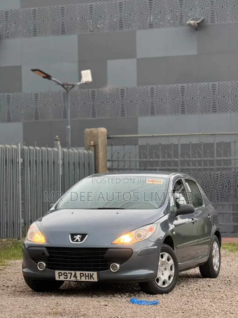 Peugeot 307 2007 Gray