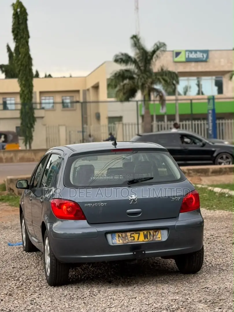 Peugeot 307 2007 Gray