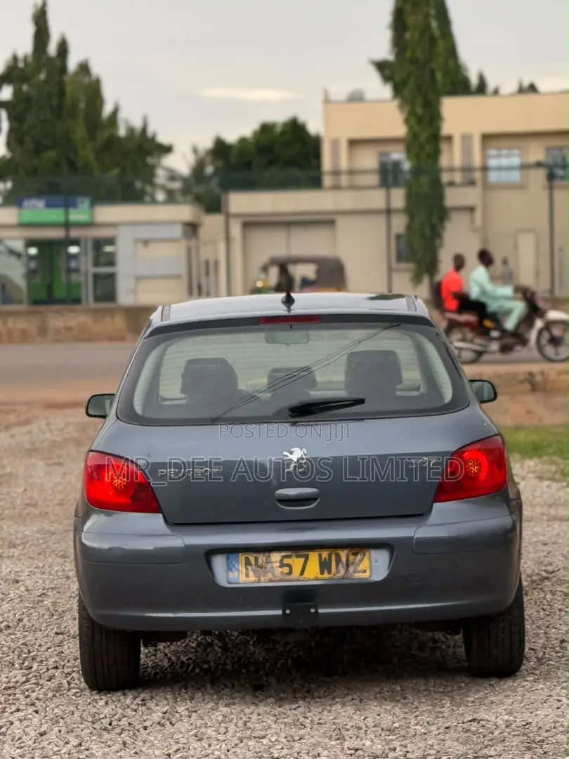 Peugeot 307 2007 Gray