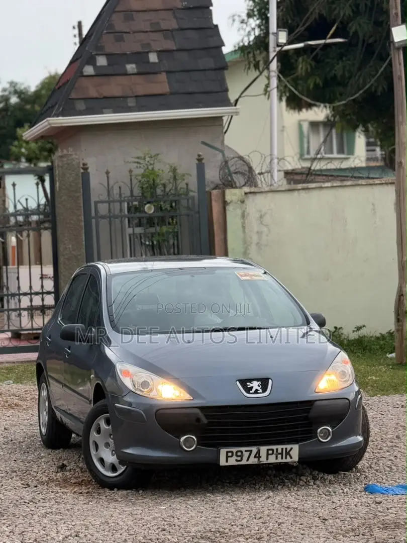 Peugeot 307 2007 Gray