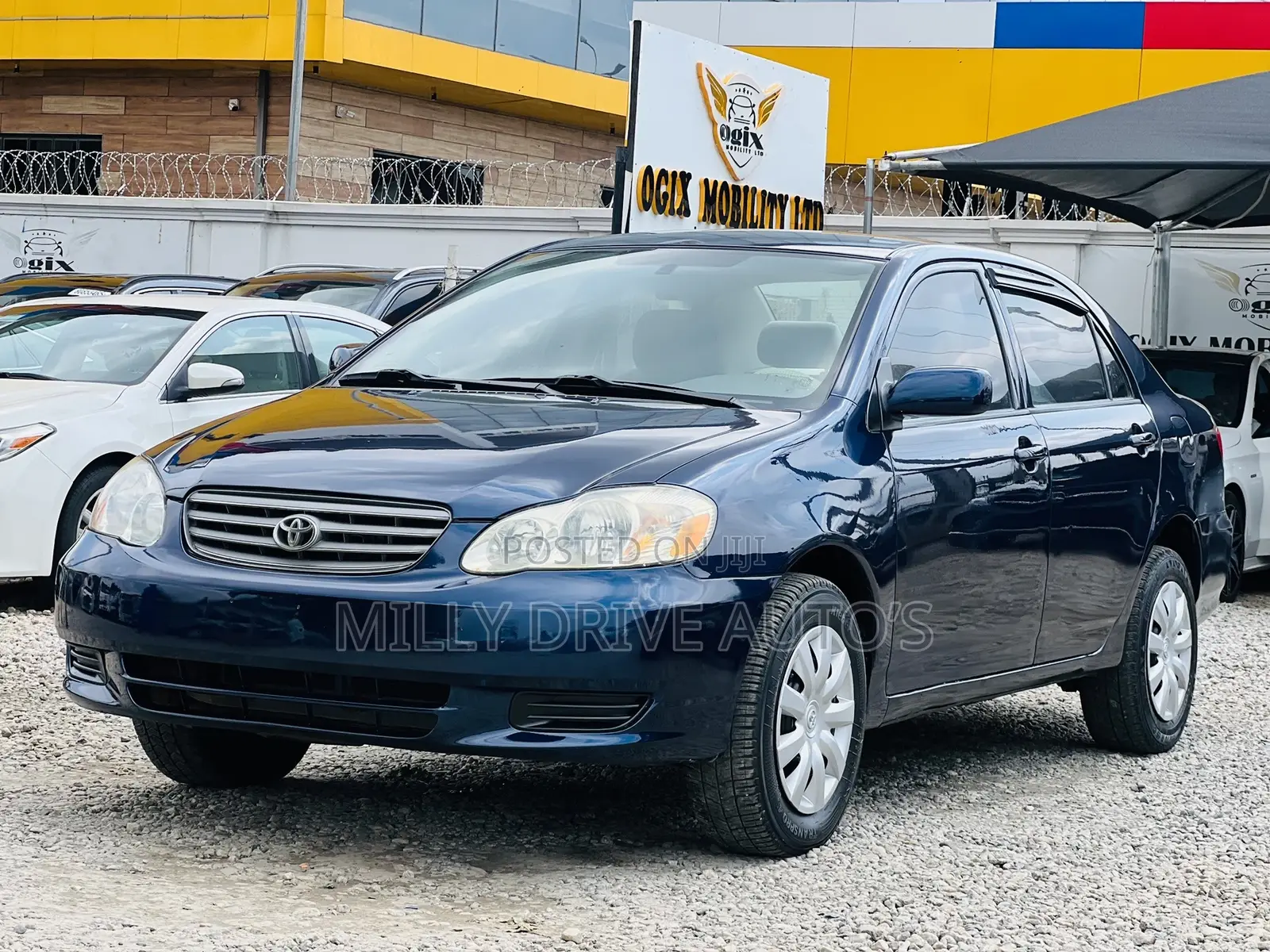 Toyota Corolla LE 2004 Blue