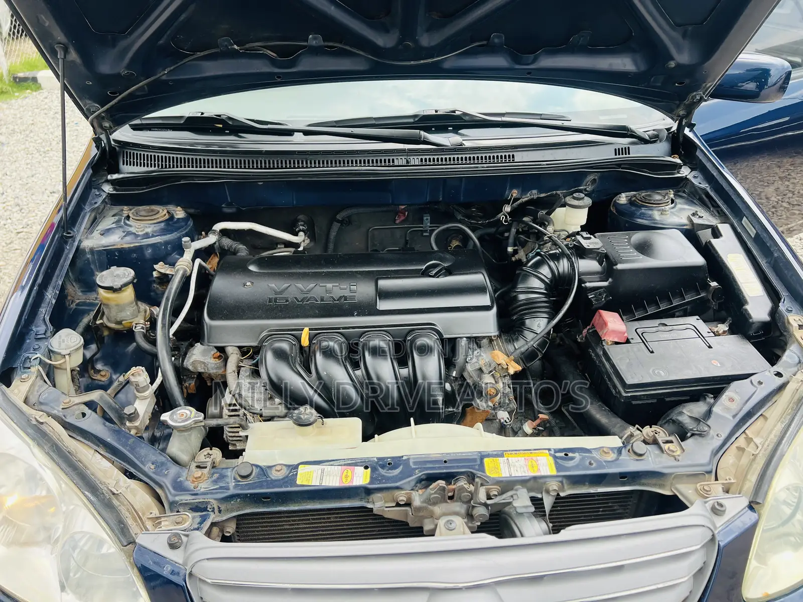 Toyota Corolla LE 2004 Blue