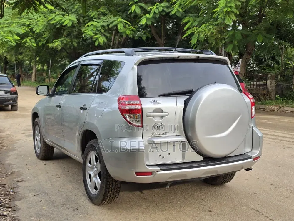 Toyota RAV4 2010 Silver