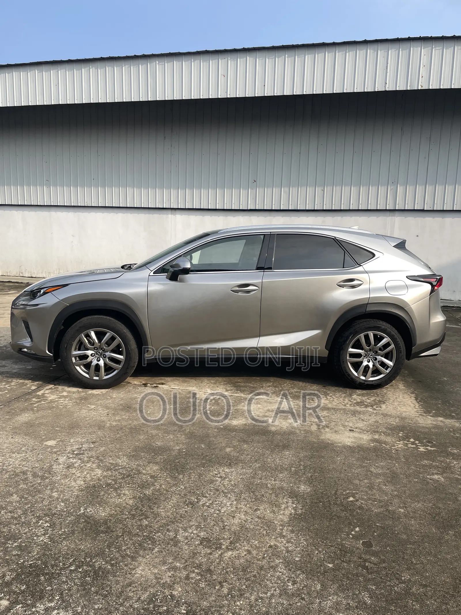 Lexus NX 300 AWD 2018 Silver