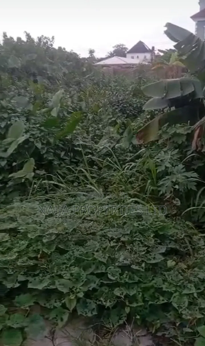 Full Plot of Land at Goodnews Estate, Sangotedo, Ajah for Sale