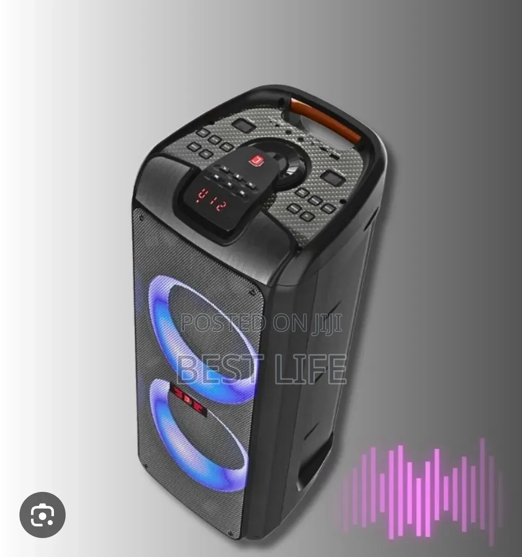 JDJ Party Speaker System