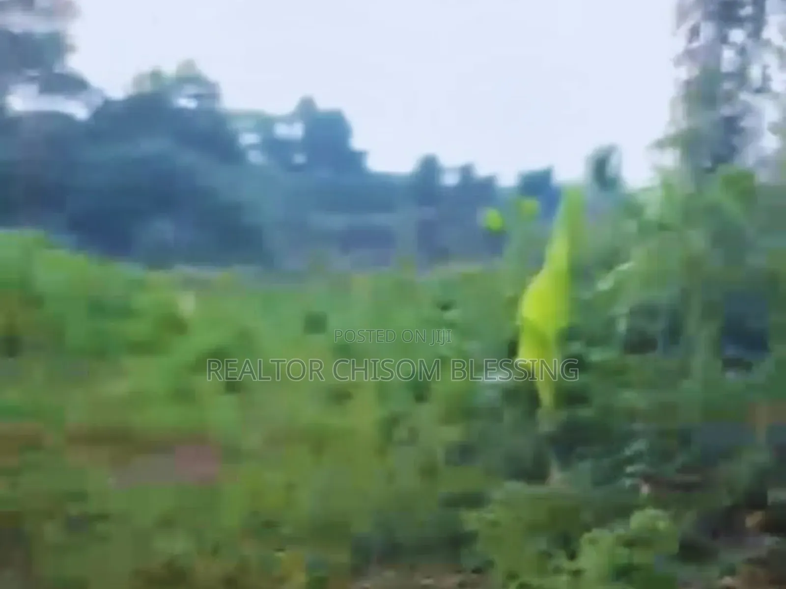 Massive 100 Plots for Sale in Ajata Ibeku Umuahia