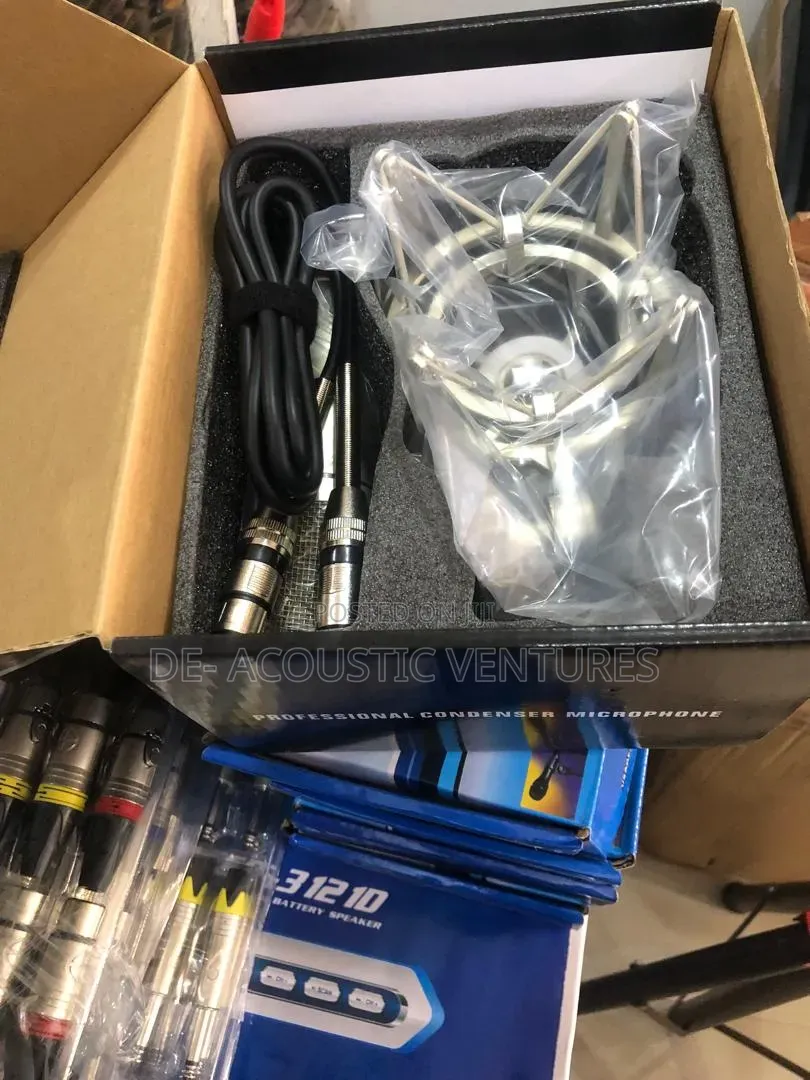 Very Affordable Behringer C12 Studio Condenser Microphone