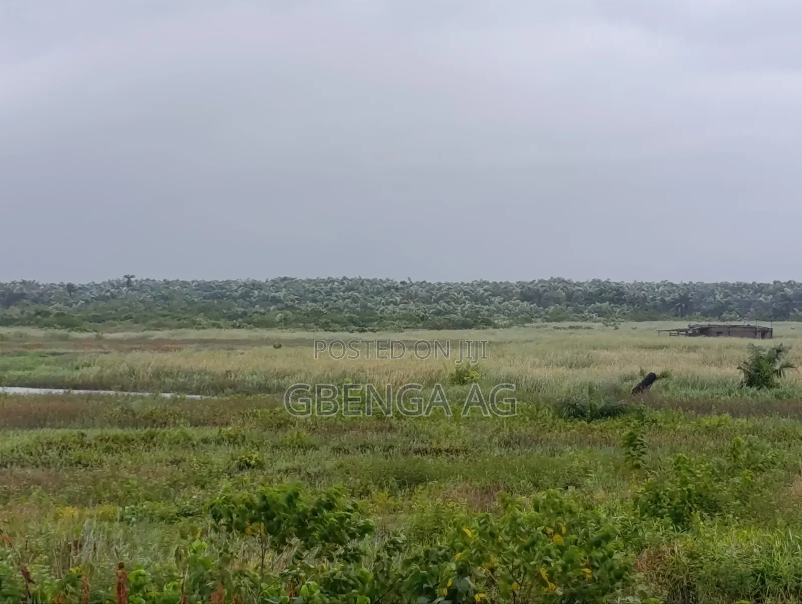 Commercial Plots Facing Lekki Coastal Road Lagos for Sale