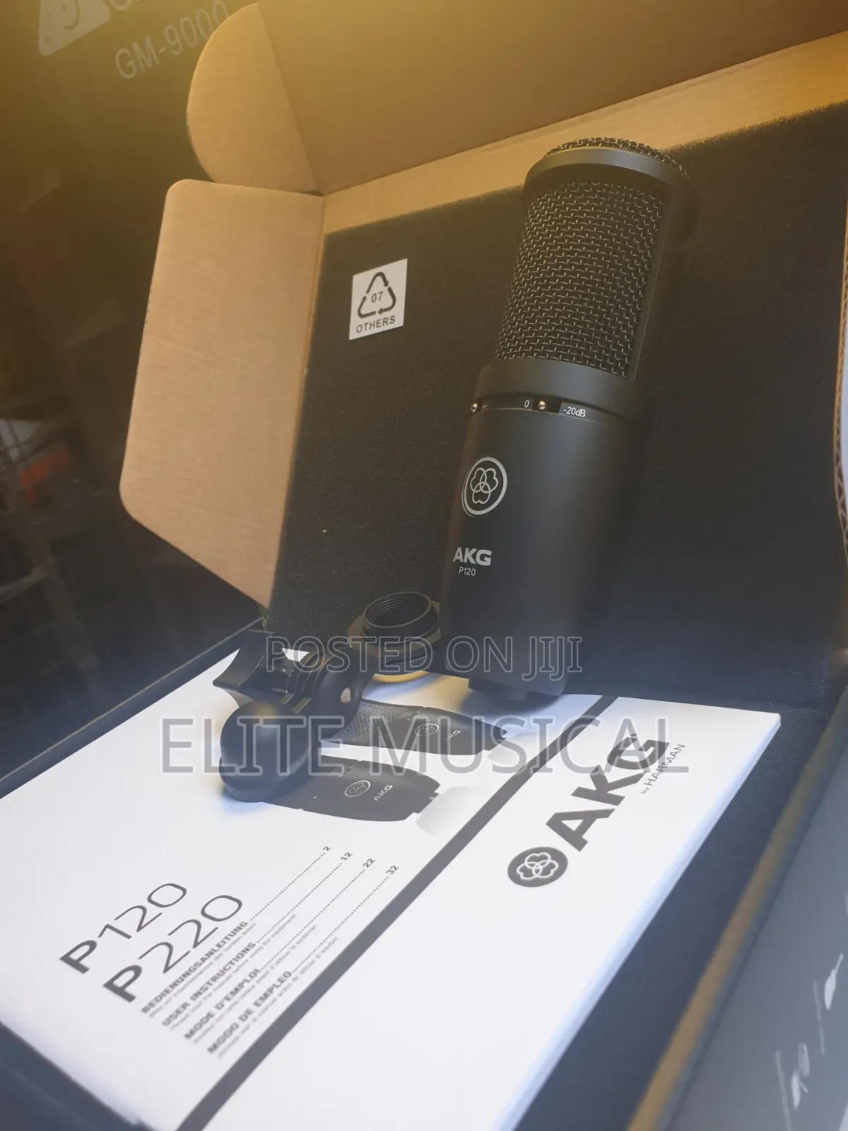 AKG P120 Condenser Microphone