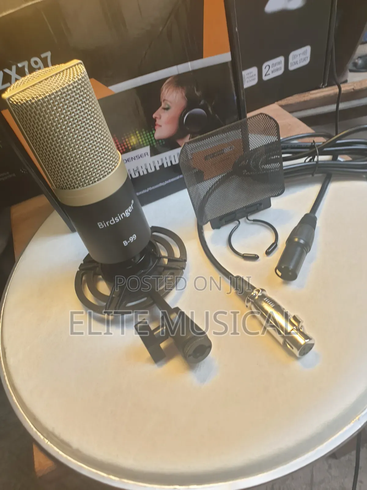 Professional Birdsinger B-99 Condenser Microphone