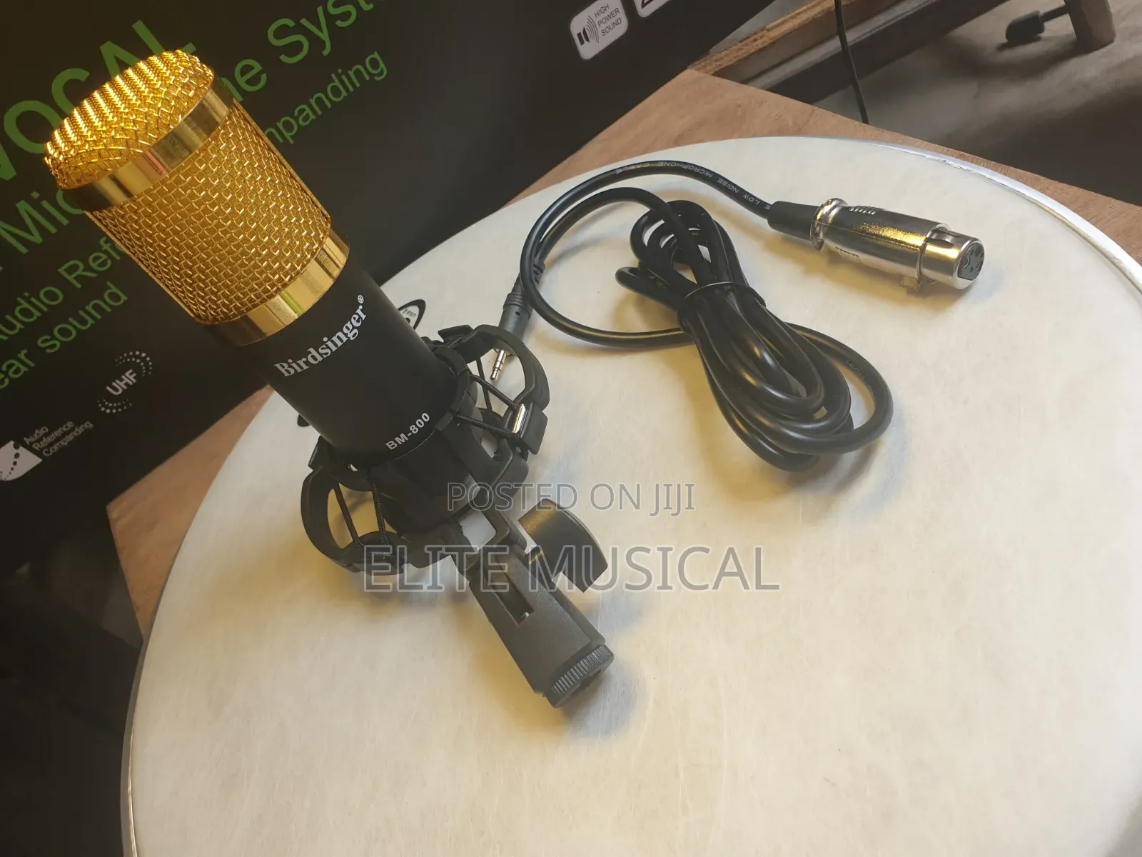 Professional Birdsinger BM-800 Condenser Mic