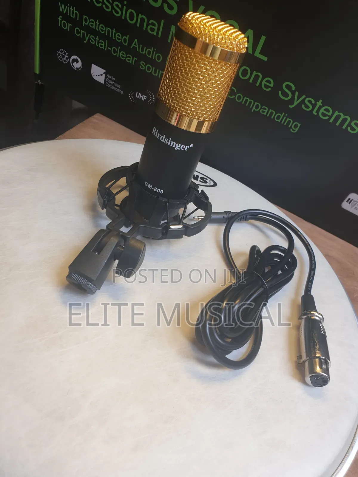 Professional Birdsinger BM-800 Condenser Mic