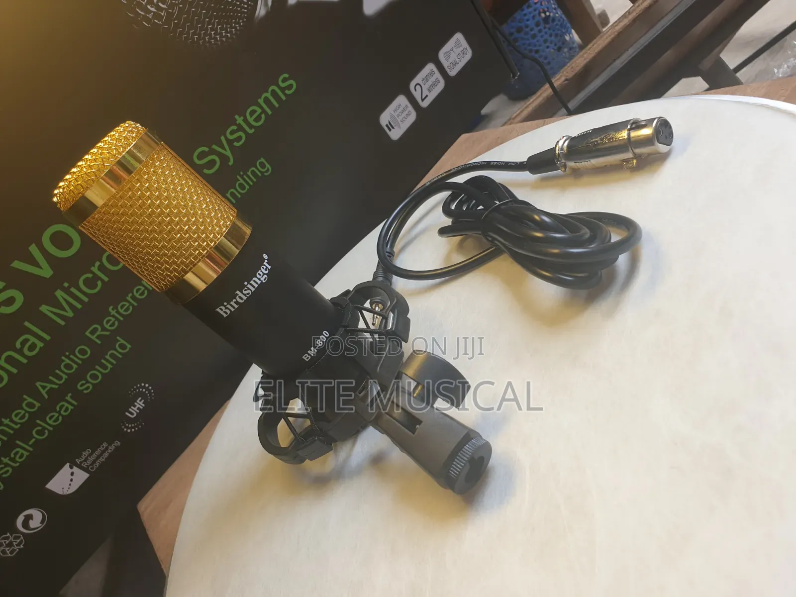 Professional Birdsinger BM-800 Condenser Mic