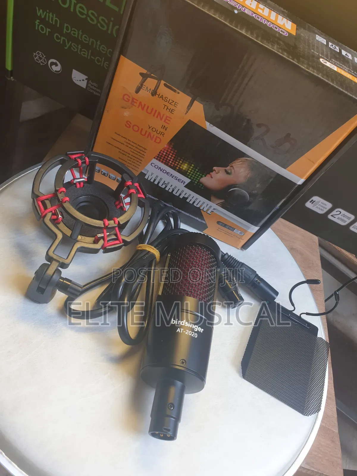 High Quality Birdsinger at-2020 Condenser Microphone