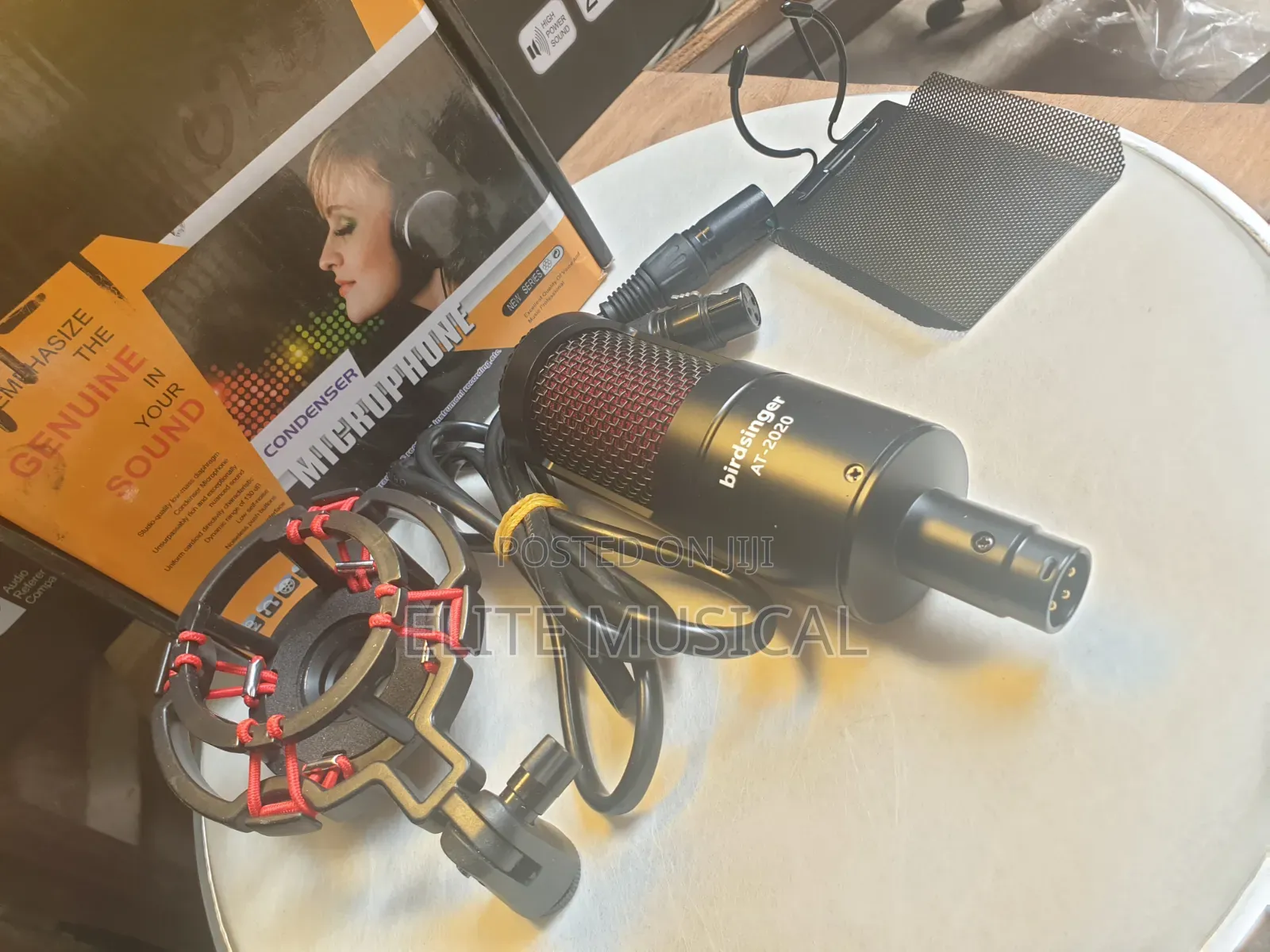 High Quality Birdsinger at-2020 Condenser Microphone