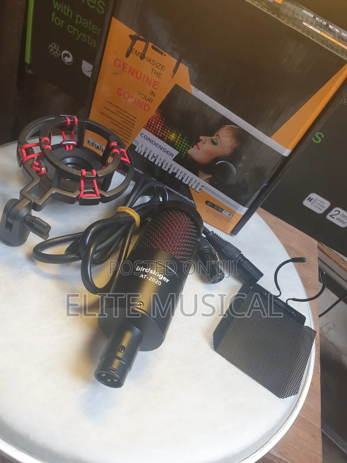 High Quality Birdsinger at-2020 Condenser Microphone