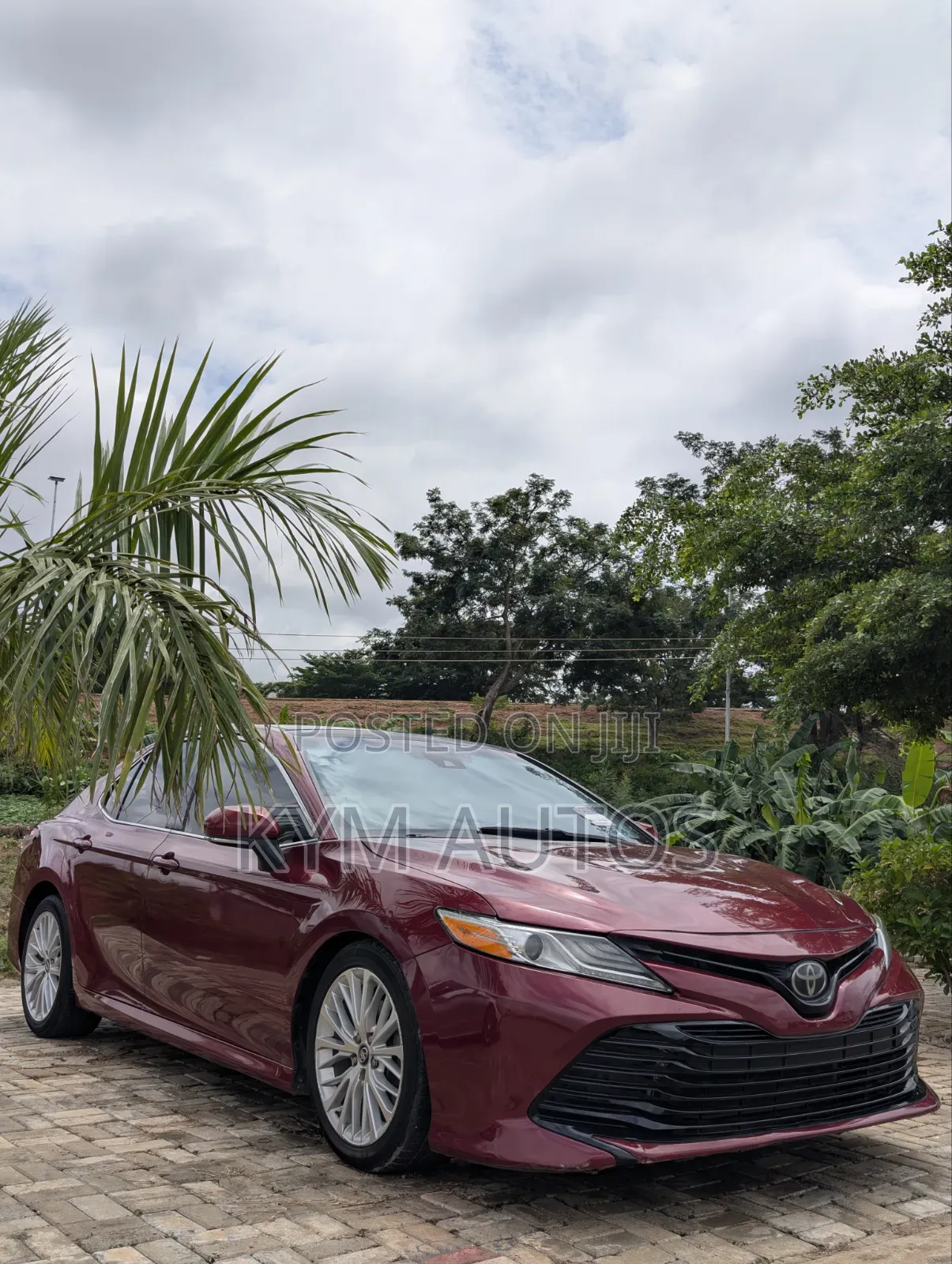 Toyota Camry 2019 Burgundy