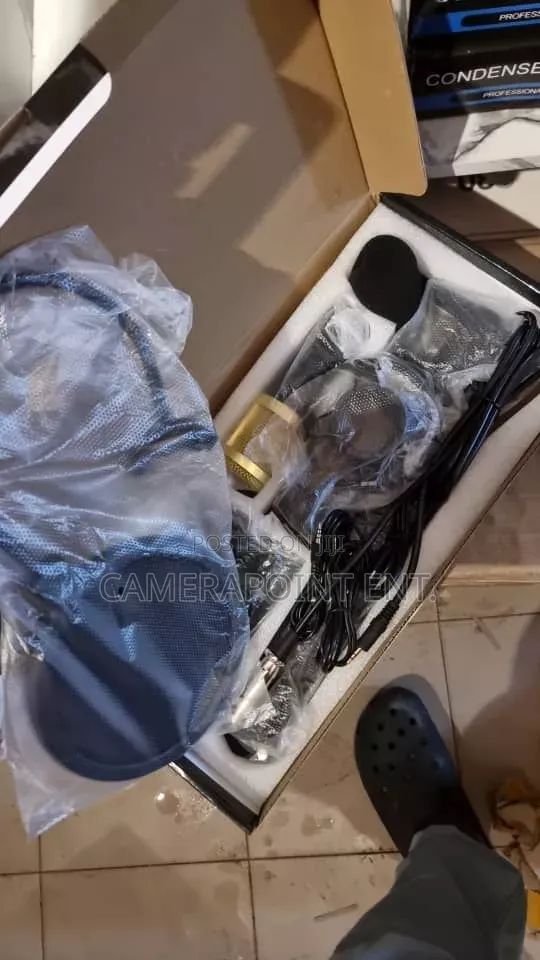Professional Condenser Microphone