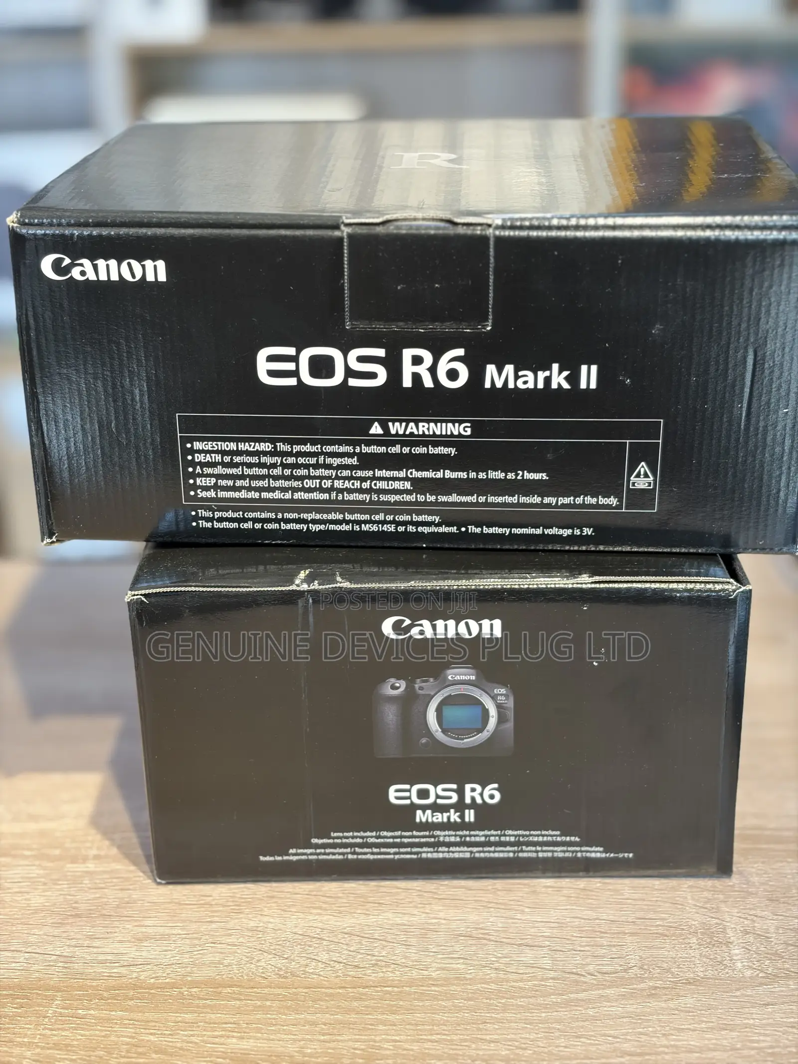 Canon EOS R6 Mark II Mirrorless Camera (Body Only)