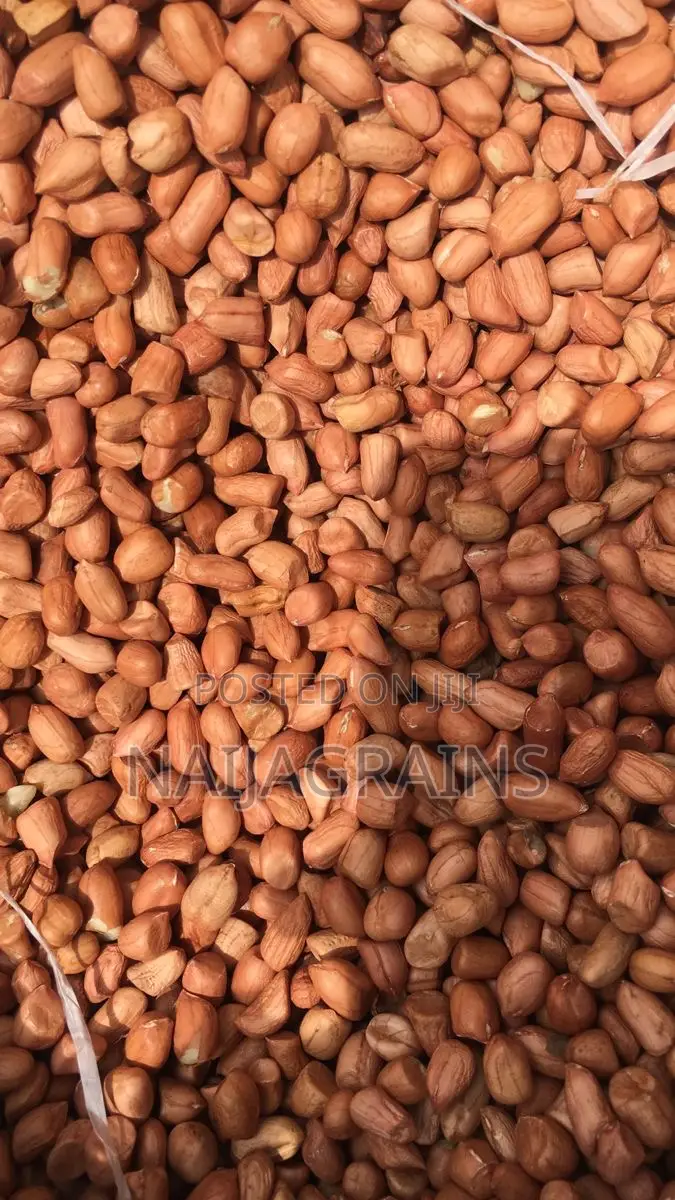 Quality Bororo Groundnut for Sale | Wholesale Retail