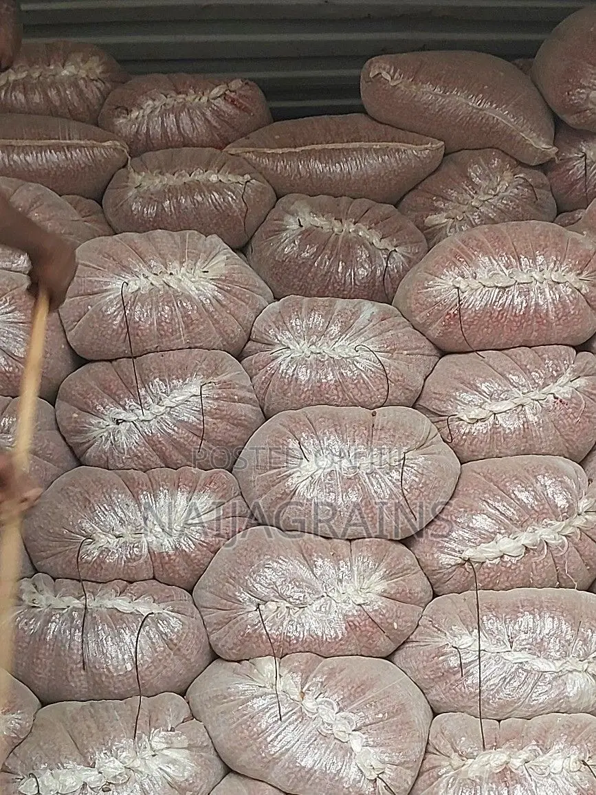 Quality Bororo Groundnut for Sale | Wholesale Retail