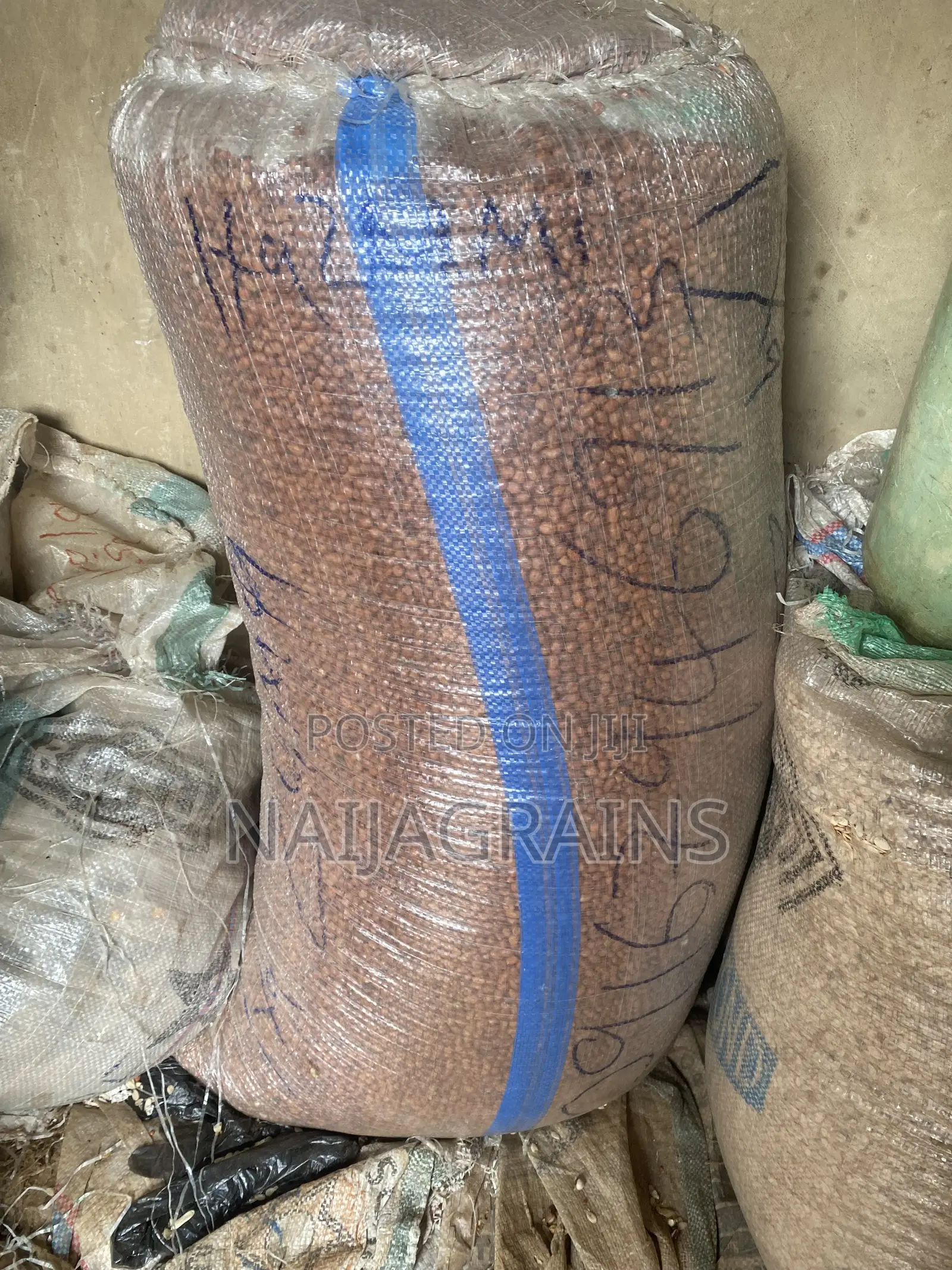 Quality Bororo Groundnut for Sale | Wholesale Retail