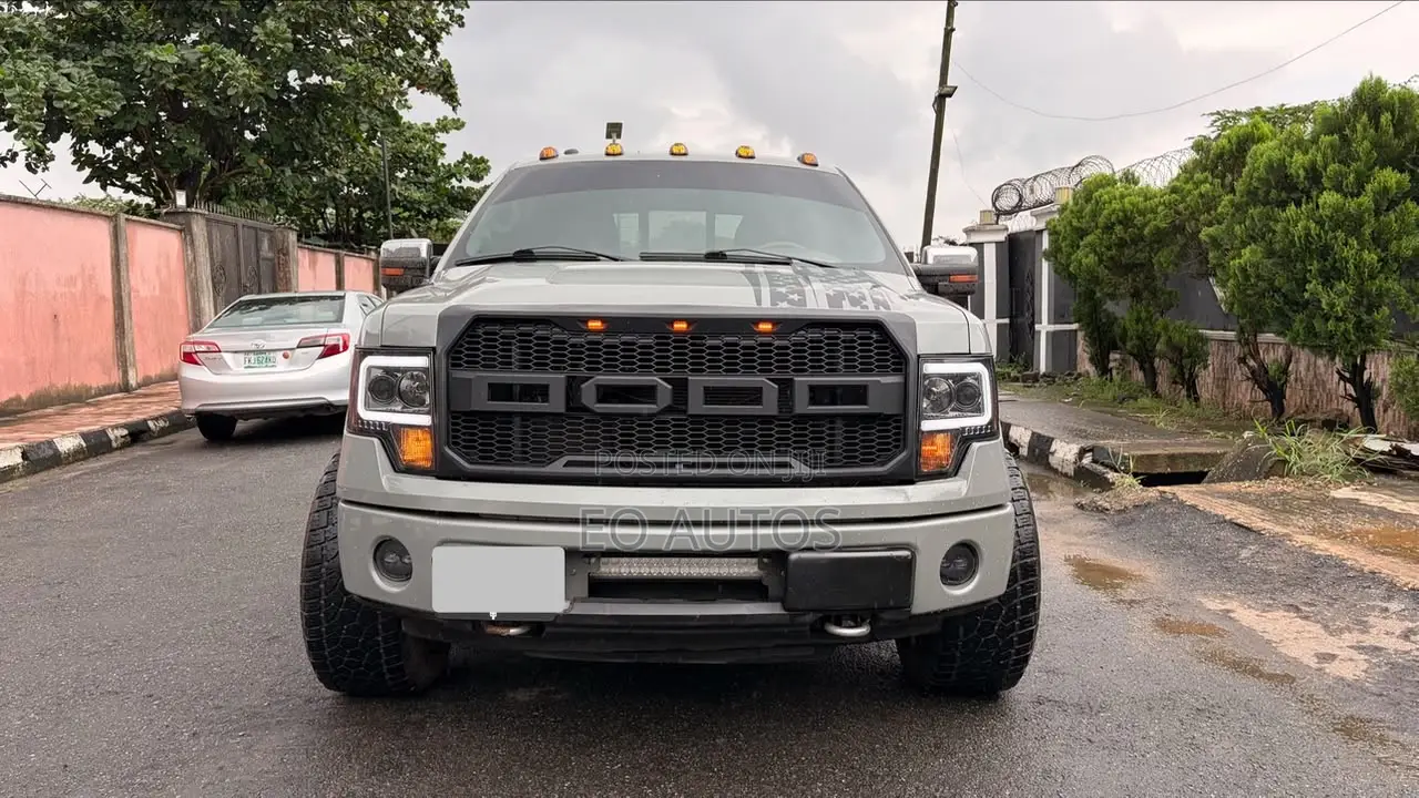 Ford F-150 Platinum 2010 Gray