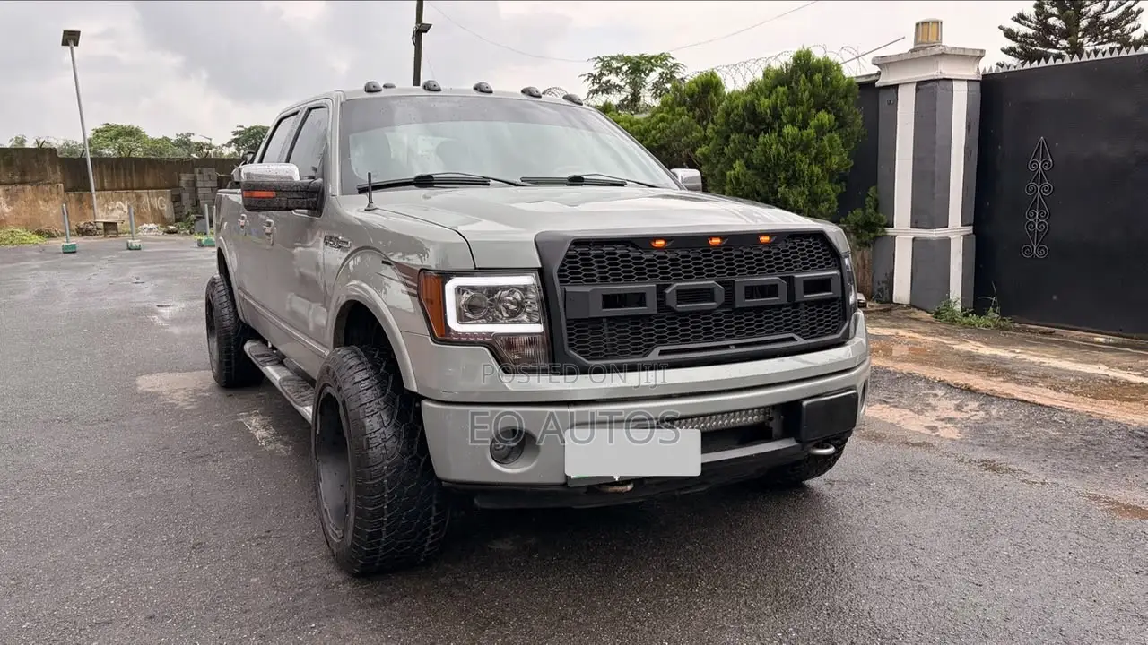 Ford F-150 Platinum 2010 Gray