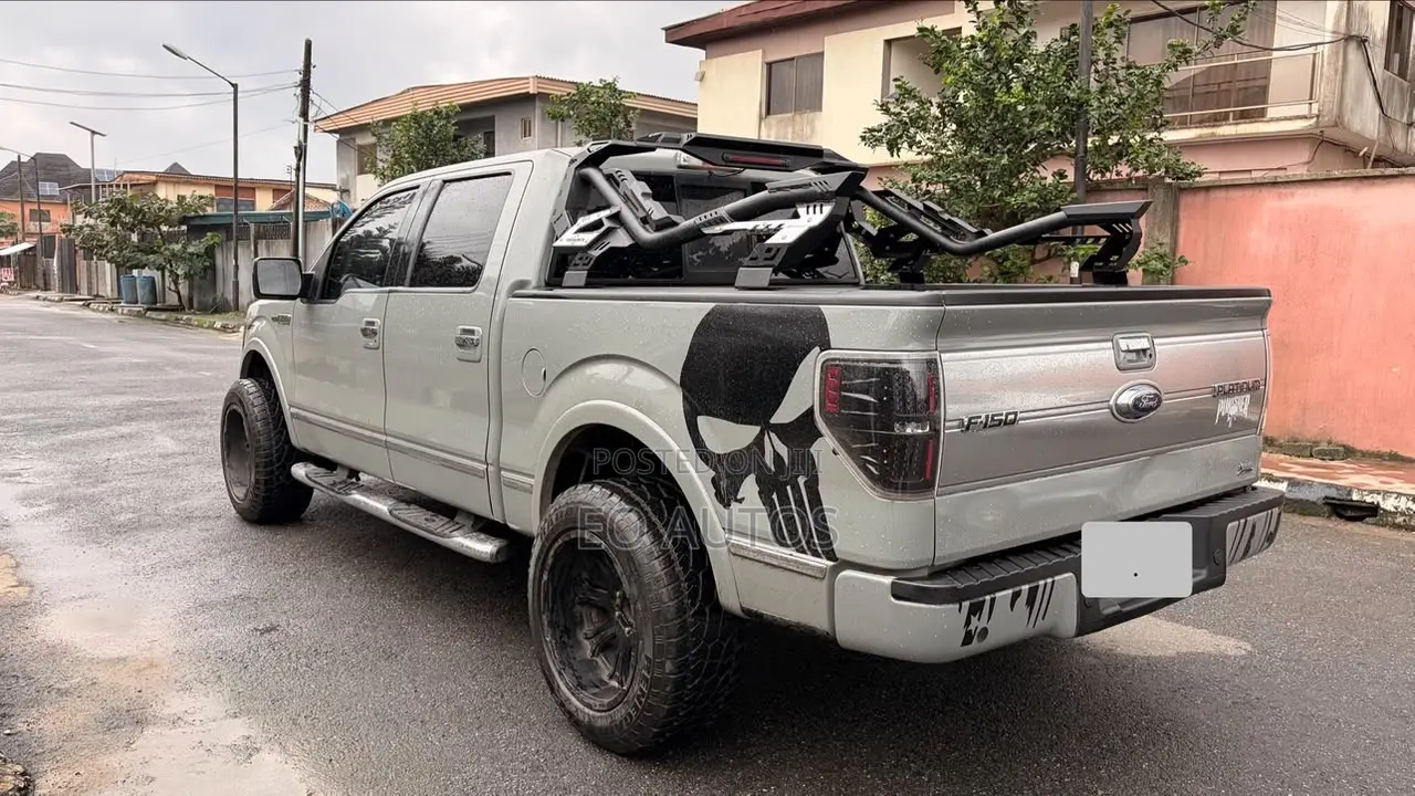 Ford F-150 Platinum 2010 Gray