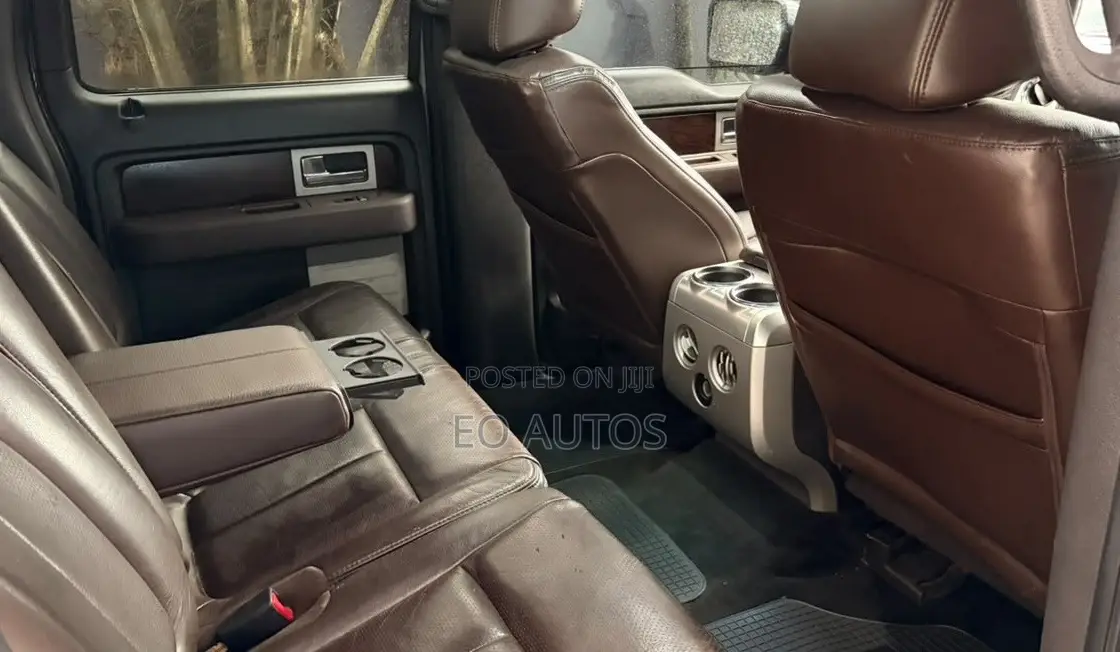 Ford F-150 Platinum 2010 Gray