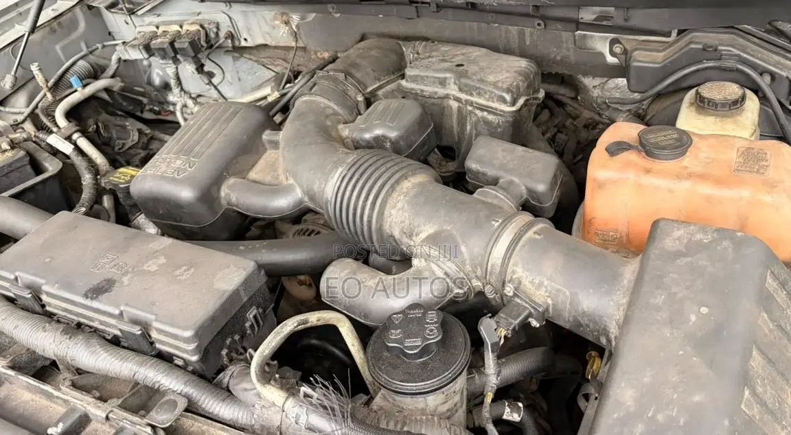 Ford F-150 Platinum 2010 Gray