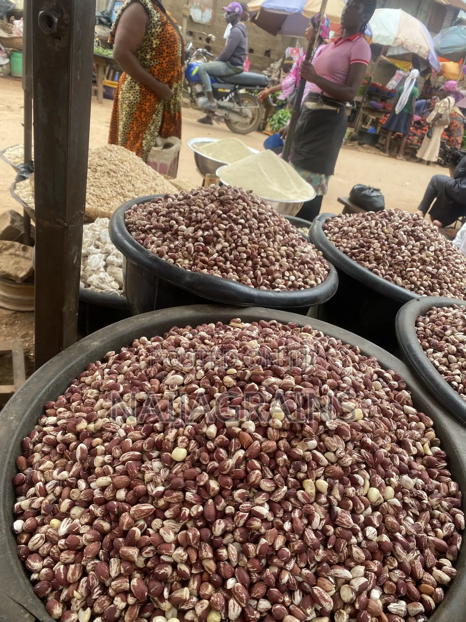 Quality Groundnut for Sale | Bulk Supply