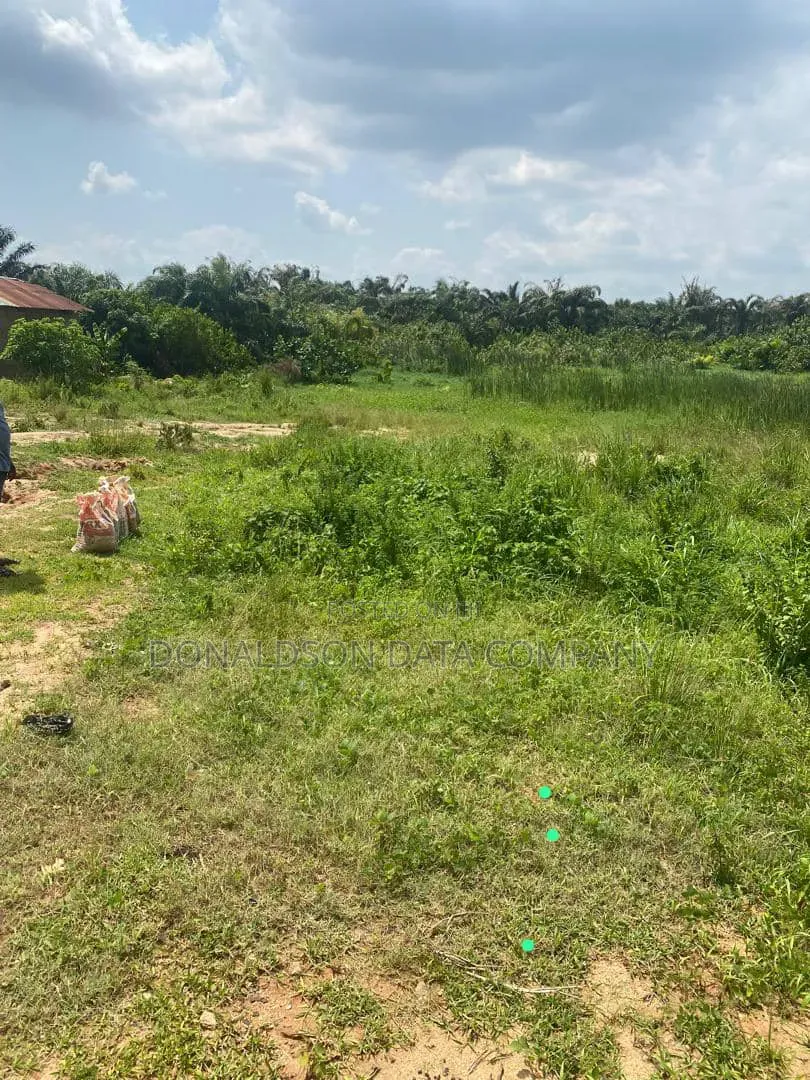 82Acres of Agricultural Farm for Sale