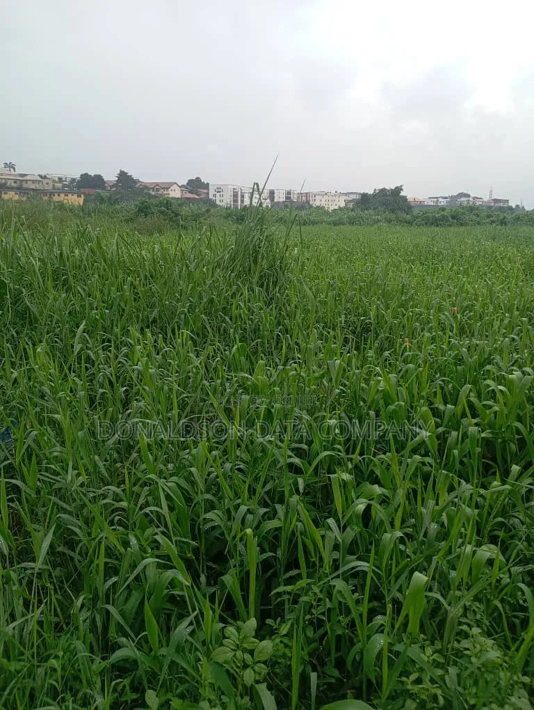 82Acres of Agricultural Farm for Sale