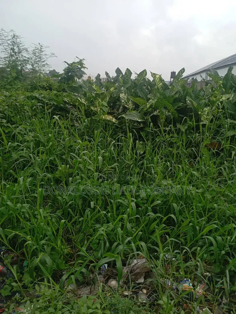 82Acres of Agricultural Farm for Sale