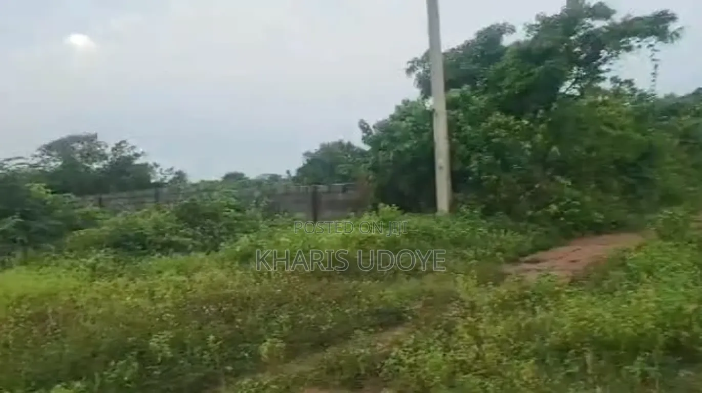 Affordable Full Plot in Ikorodu for Sale