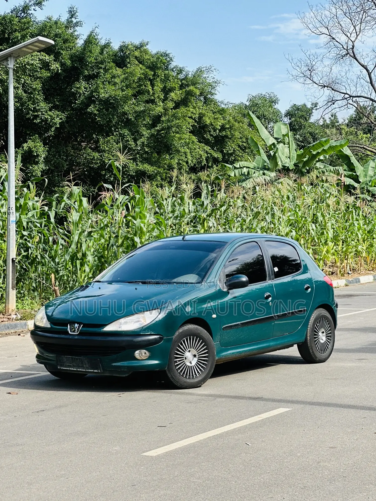 Peugeot 206 2004 Green