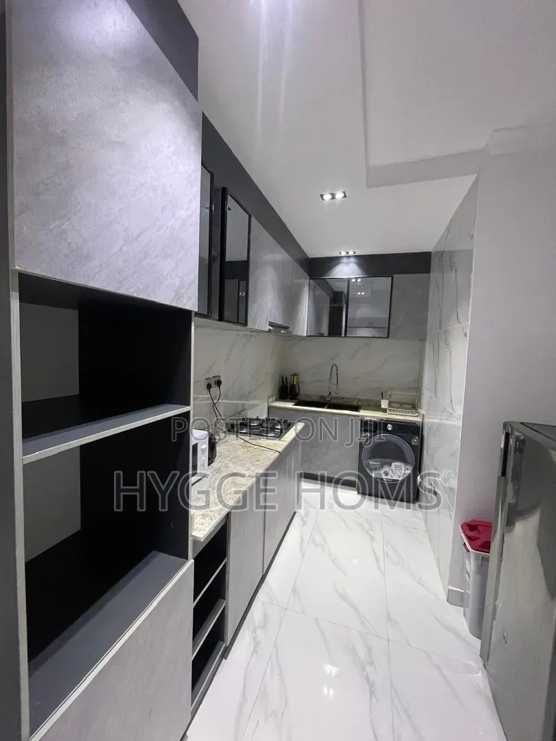 Furnished Mini Flat in Banana Island Estate for rent