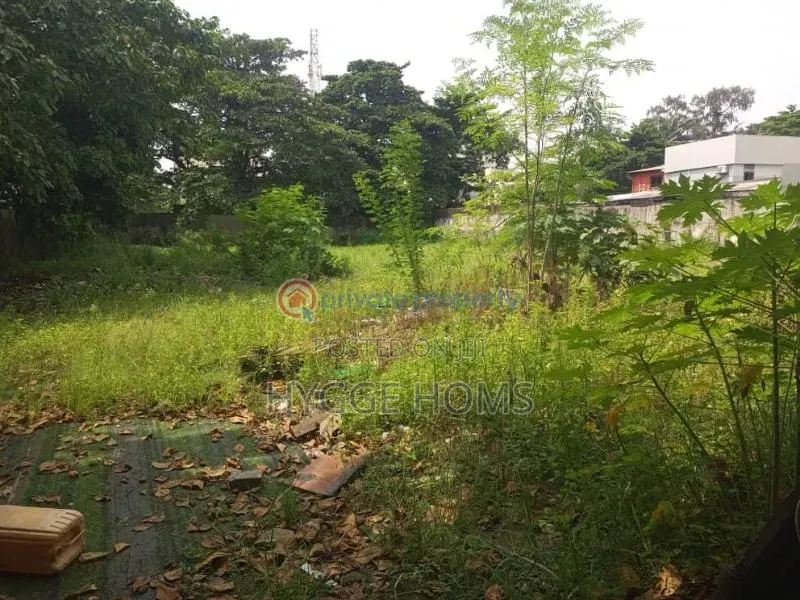 3394sqm Directly on Adeola Odeku Victoria Island