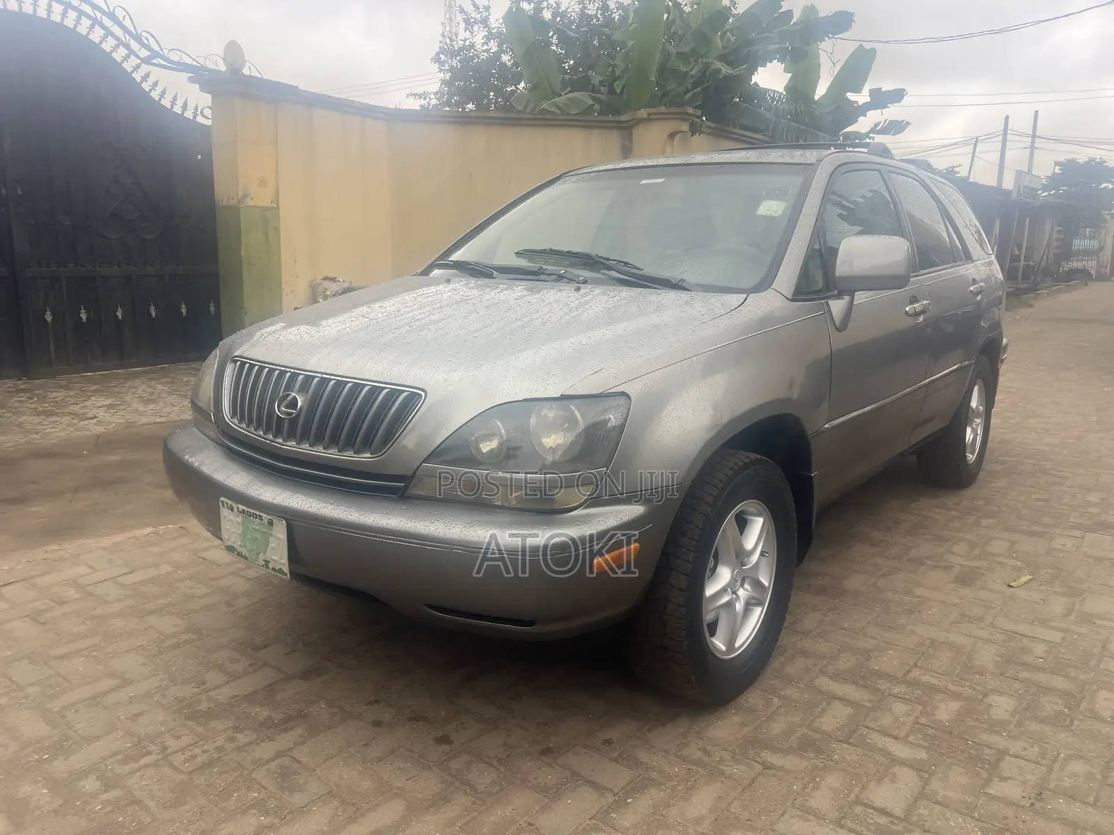 Lexus RX 300 4WD 2002 Gray
