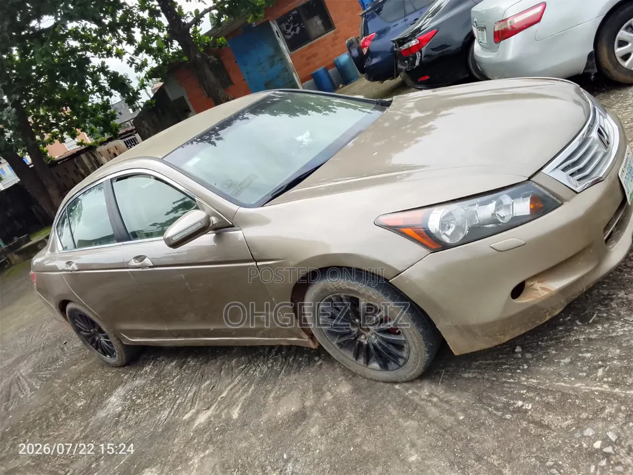 Honda Accord 2009 Gold