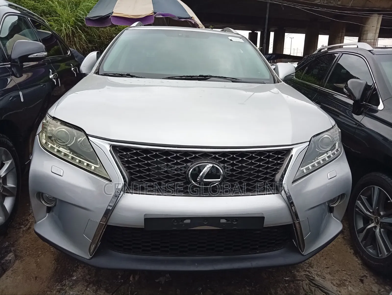Lexus RX 2013 Silver